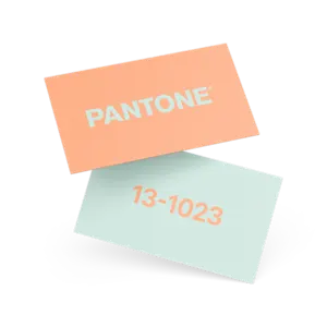 Biglietti da visita Pantone®