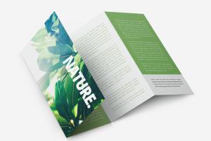 W-fold leaflets