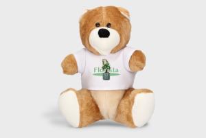 Teddybeer met T shirt