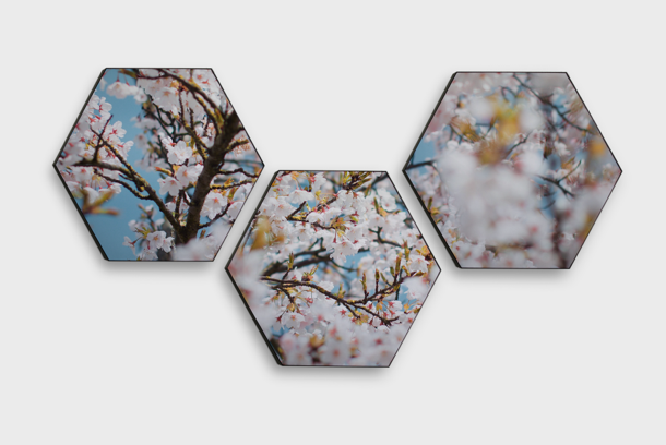 Akoestische panelen hexagon