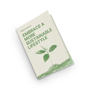 Carpetas ecológicas