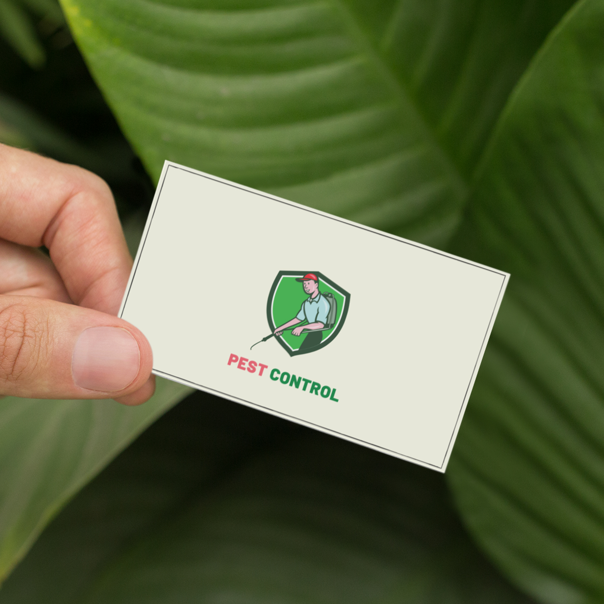 Standaard visitekaartjes