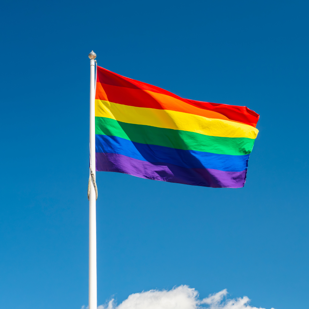 Pride vlag
