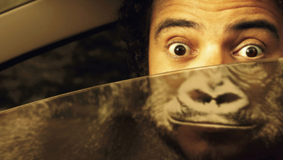 5 Great Examples of Effective Sticker Marketing