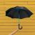 Regenschirm mit farbigen Streben bedrucken