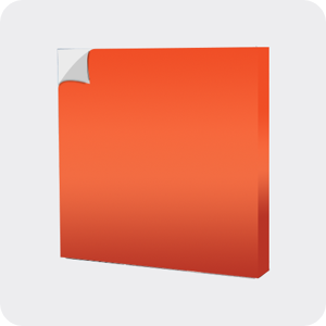 Toile seule (sans le cadre)