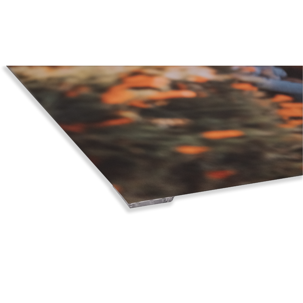 Locandine con cornice Premium