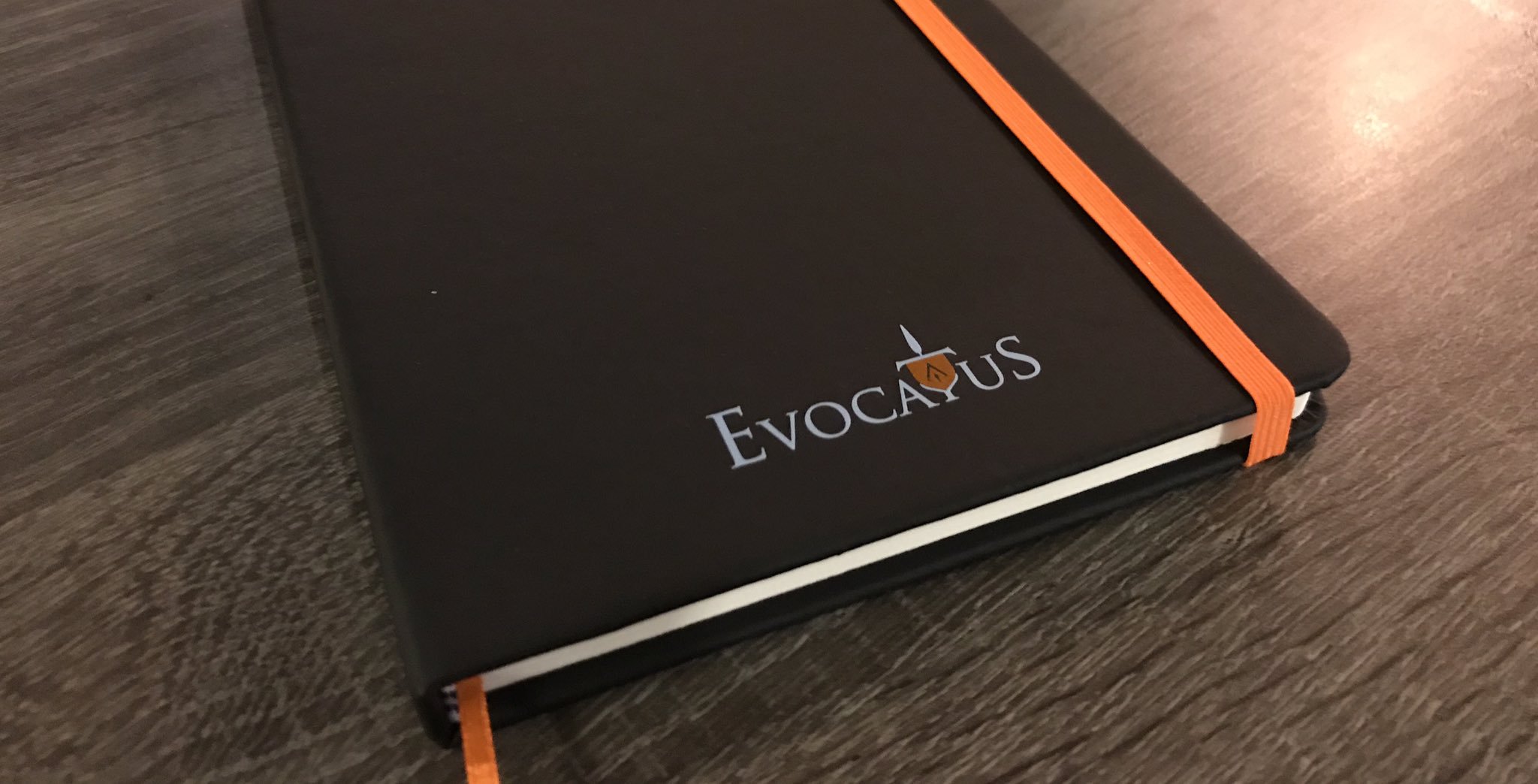 Evocatus Consulting - Twitter