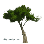  DRUKWERK  MAX   DUURZAAM 
