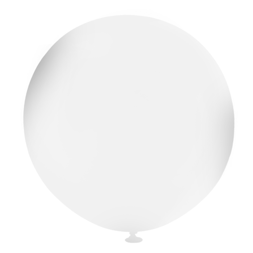 Reuzeballonnen bestellen