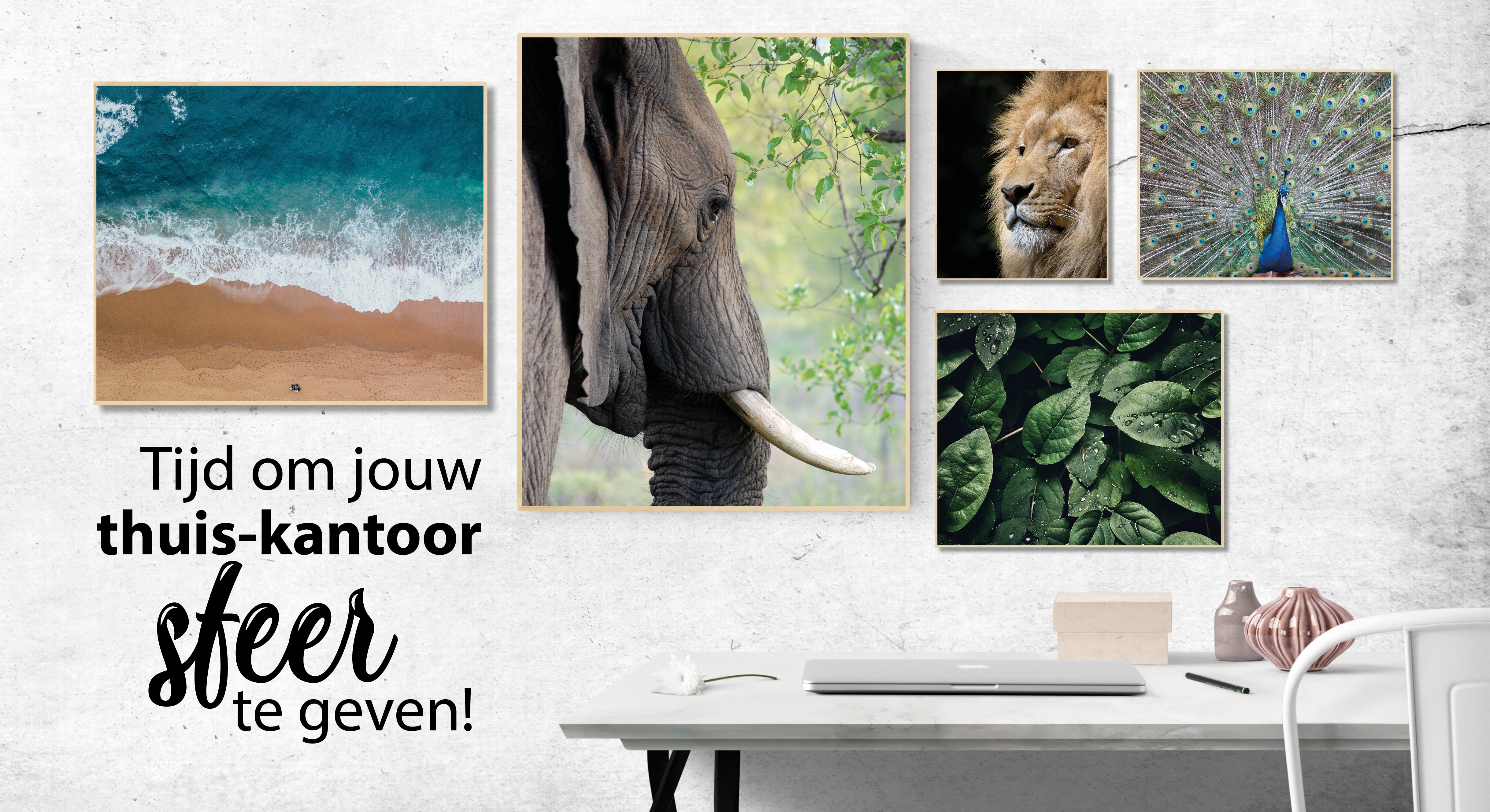 drukwerkkanon-banner-2