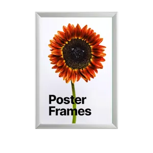 Poster Frame Printing UK