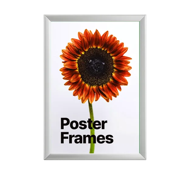 Cornici a scatto per poster pubblicitari